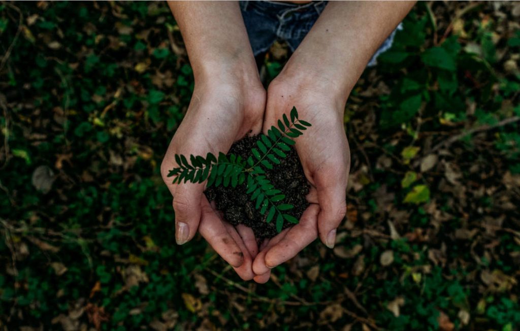 Bądź eko! 🌱