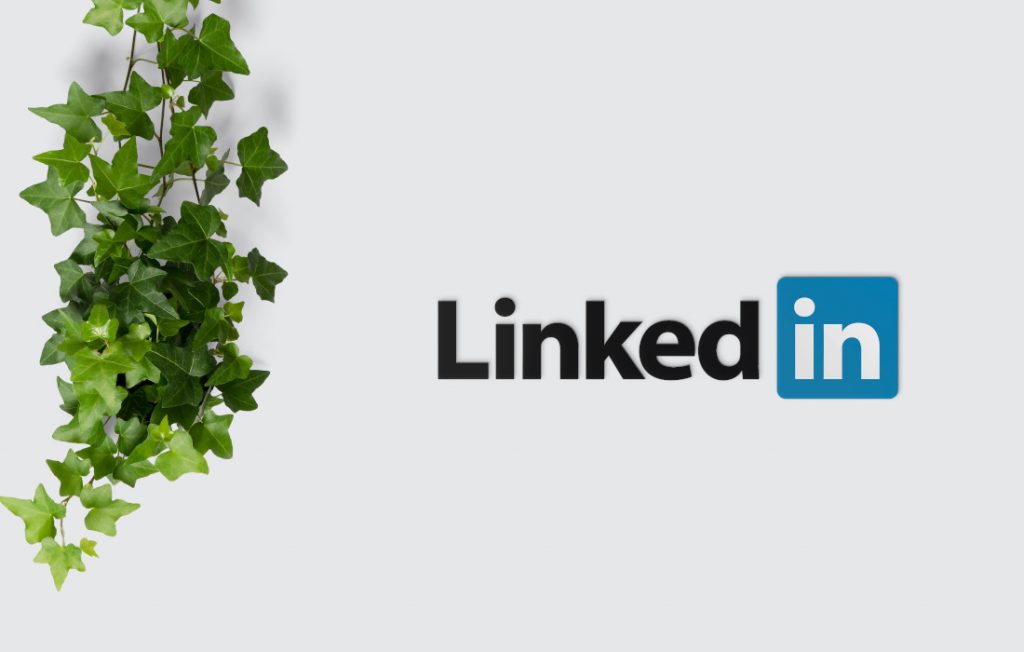 HRakterna środa – 8 kont na LinkedIn, które warto obserwować